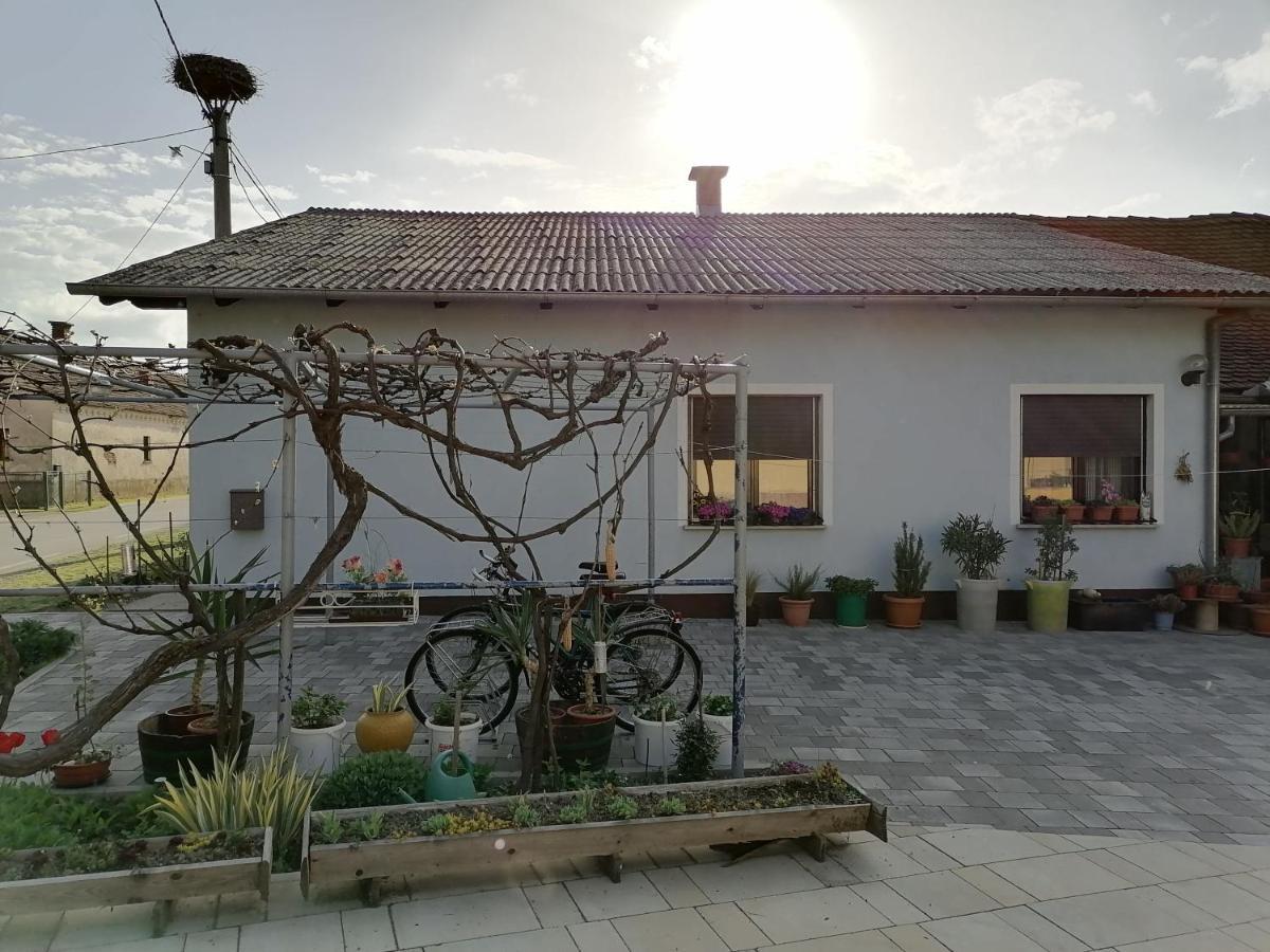 Villa Bela Golobica Bogojina Extérieur photo